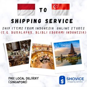 Indonesia-To-Singapore-Shippping-Service